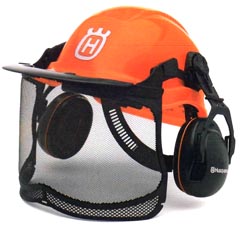 �w�����b�g �i�ꎮ�j